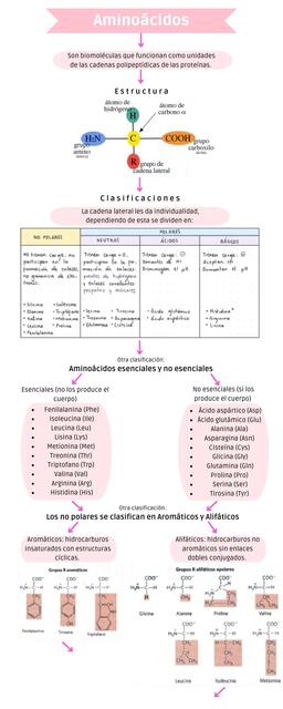 Aminoácidos y Proteínas Ruth Seg uDocz