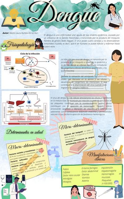 INFOGRAFIA DENGUE CUESTIONARIO Laura Rumbo UDocz