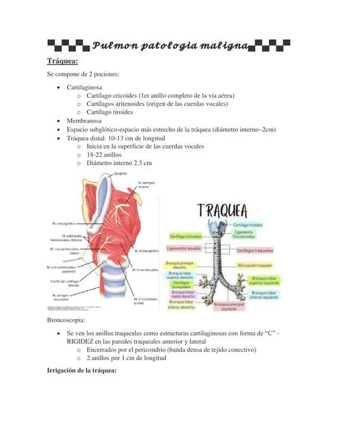 Pulmon Patologia Maligna Aleja Huertas Udocz