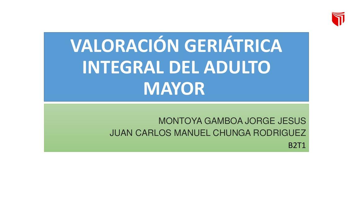 Valoraci N Geri Trica Integral Del Adulto Mayor Jorge Montoya Gamboa