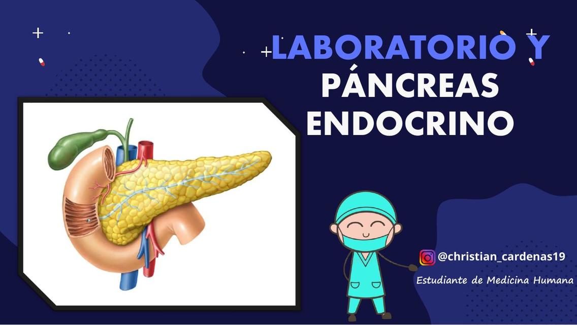 Laboratorio y páncreas endocrino CardeMedic uDocz