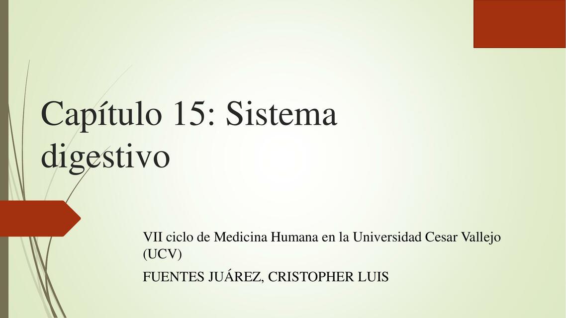 Cap Tulo Sistema Digestivo Dr Cristopher Luis Fuentes Juarez Udocz