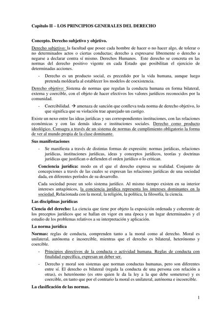 Cap Tulo Ii Los Principios Generales Del Derecho