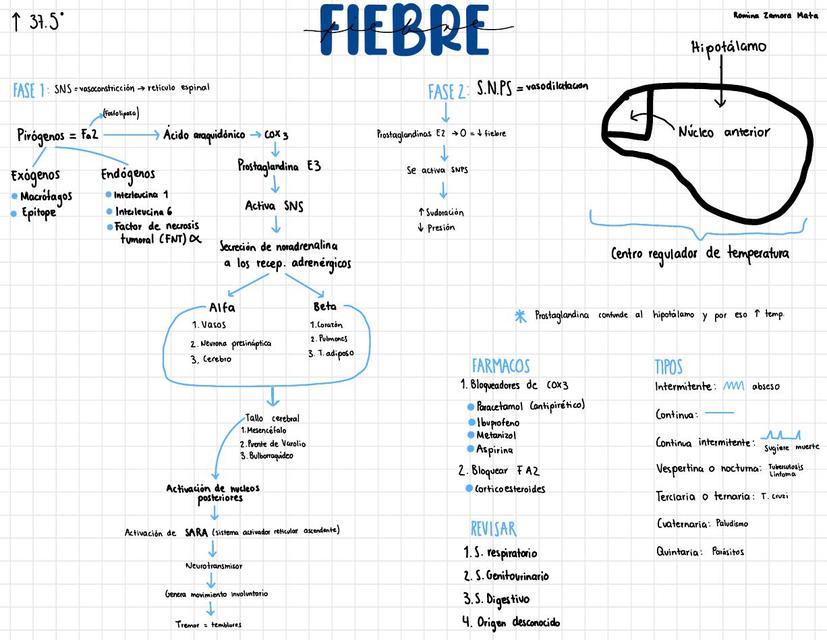 Resumen Fiebre Romina Zamora UDocz