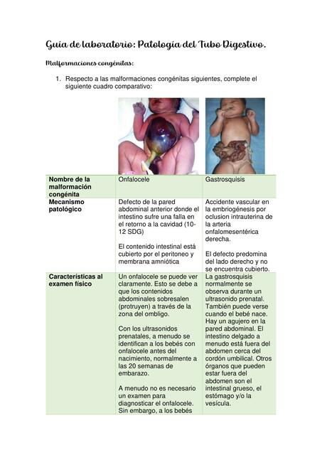 Patología del Tubo Digestivo María González uDocz