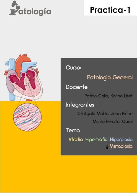 Atrofia Hipertrofia Hiperplasia Y Metaplasia ALTRUUS UDocz