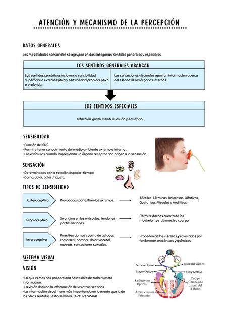 Atenci N Y Mecanismo De La Percepci N Patricia Gamarra Udocz