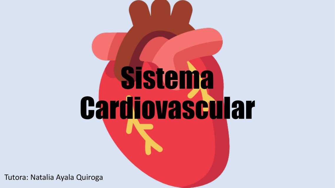 Sistema Cardiovascular Natalia Ayala Quiroga UDocz