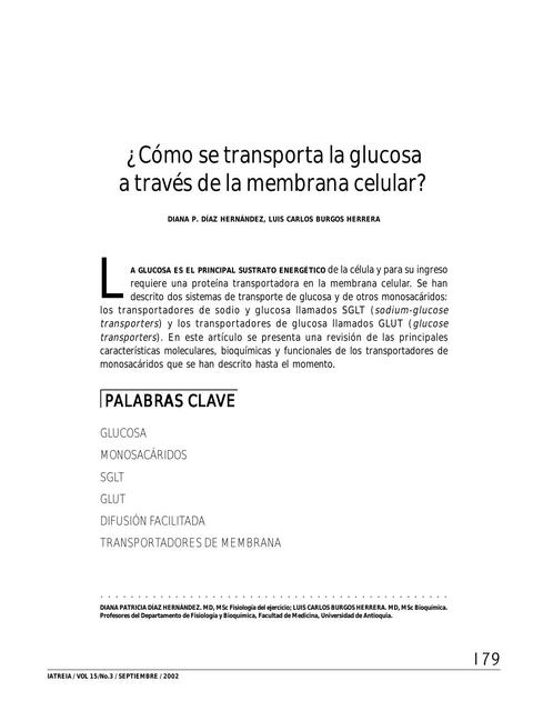 C Mo Se Transporta La Glucosa A Trav S De La Membrana Celular