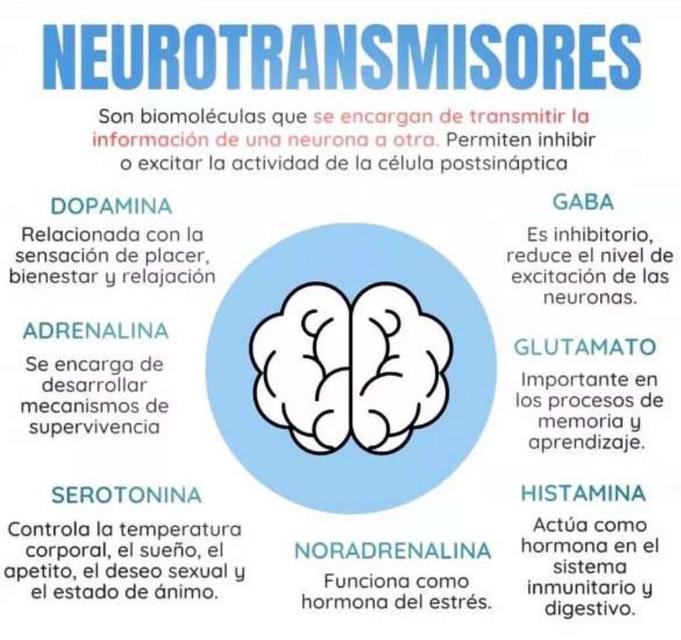 Neurotransmisores YUDOC ORG UDocz