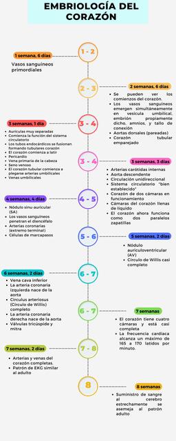 Embriología del Corazón Alejandra Duperou uDocz