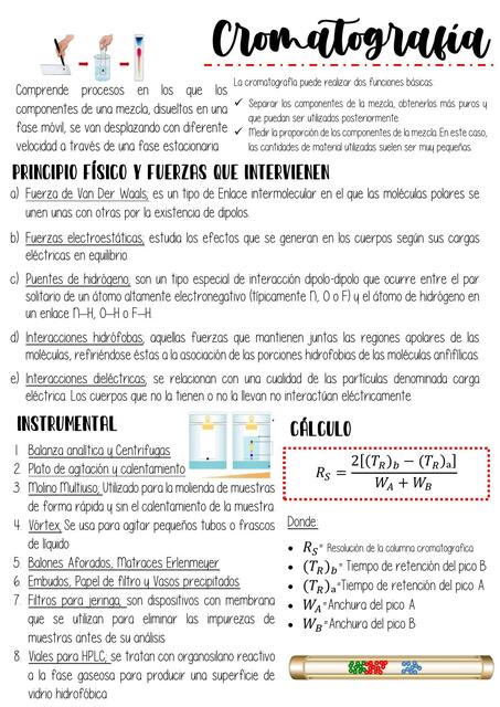 Cromatografía Stefanny Baptista Ramirez uDocz