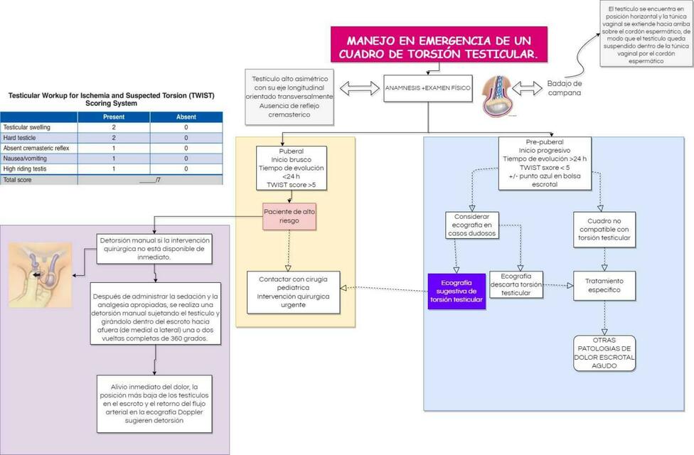 Manejo de torsión testicular LEK MEDIC uDocz