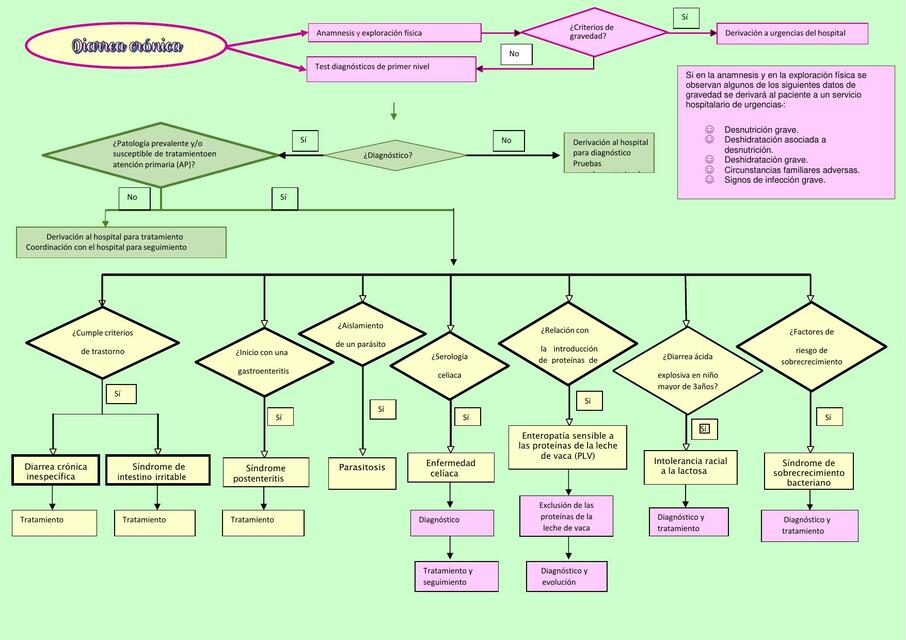 Algoritmo de Diarrea Crónica Lupita uDocz