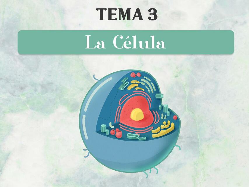 Resumen Tema 3 La Célula Moonlight Studygram uDocz