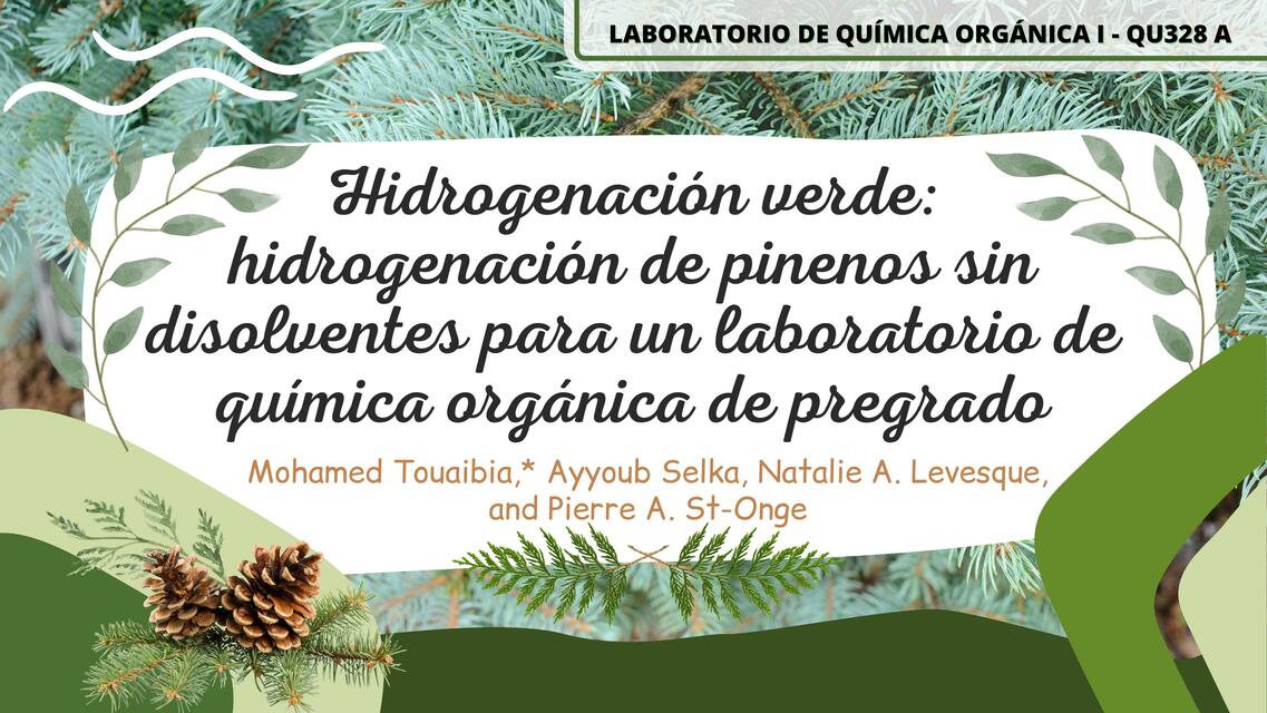 Laboratorio N Qu Mica Org Nica Hidrogenaci N Verde