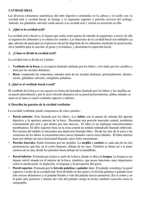 Cavidad Oral Resumen Docsity UDocz