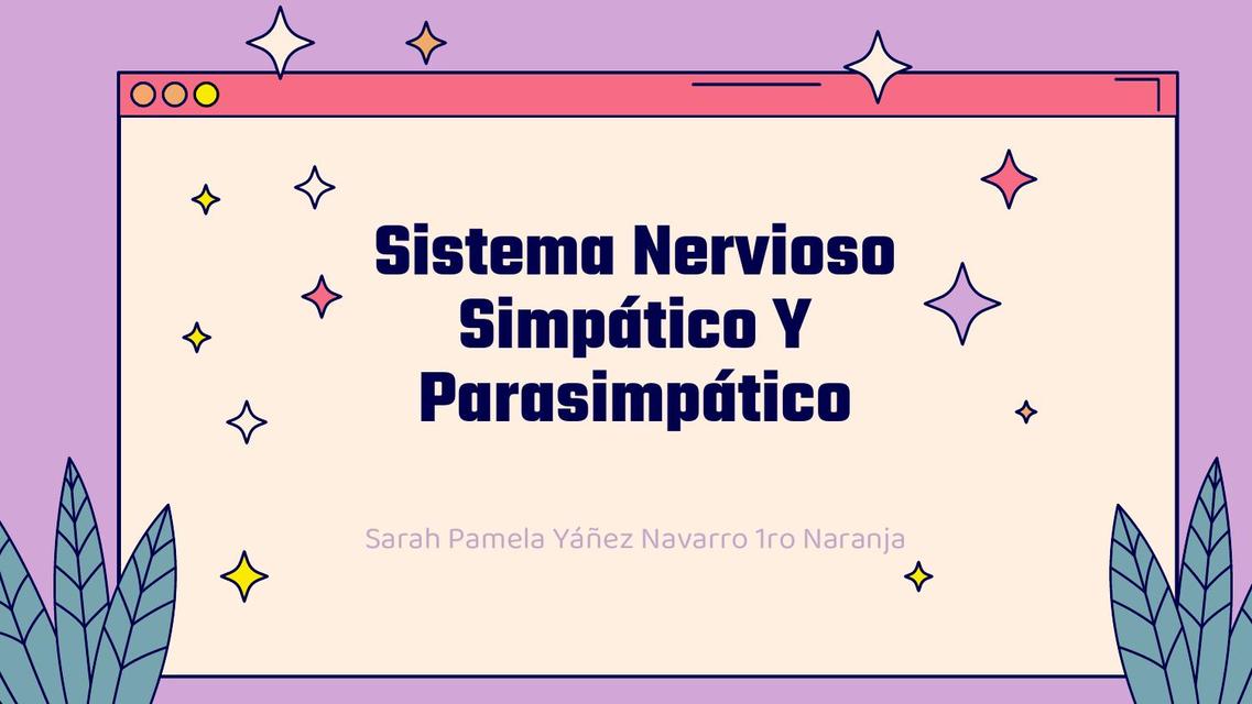 Sistema Nervioso Simpático Y Parasimpático YUDOC ORG uDocz