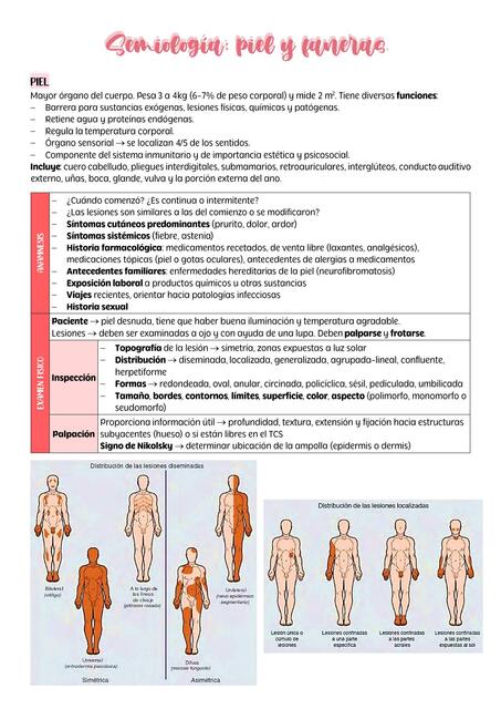 Semiolog A Piel Y Faneras Udocz