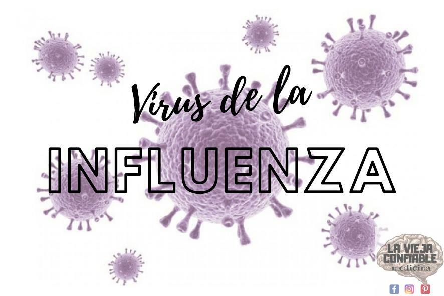 3 Virus De La Influenza La Vieja Confiable Medicina UDocz