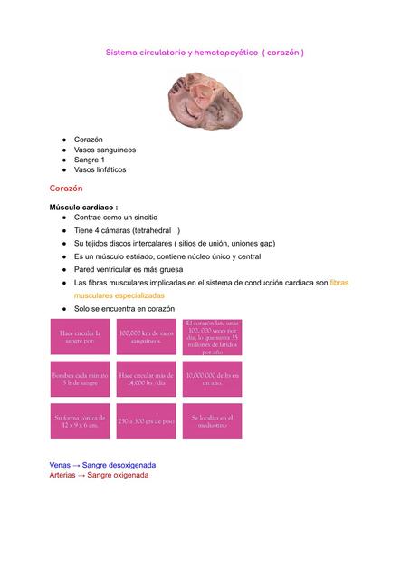 Sistema Hematopoyético Camila Jara salas uDocz