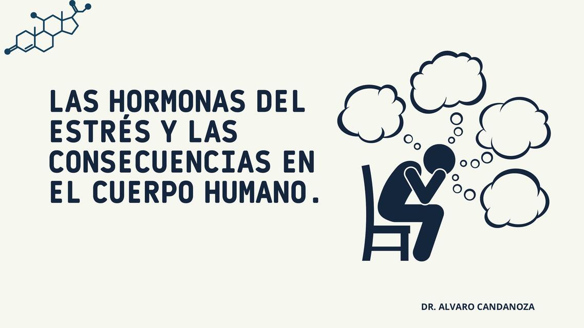 Las Hormonas Del Estr S Y Las Consecuencias En El Cuerpo Humano