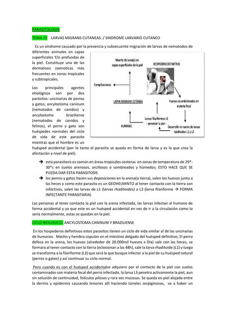 Síndrome Larvario Cutáneo Medicina Óptima uDocz