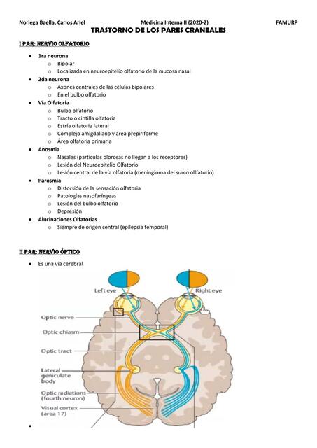 Trastorno De Los Pares Craneales Carlos Ariel Noriega Baella Udocz