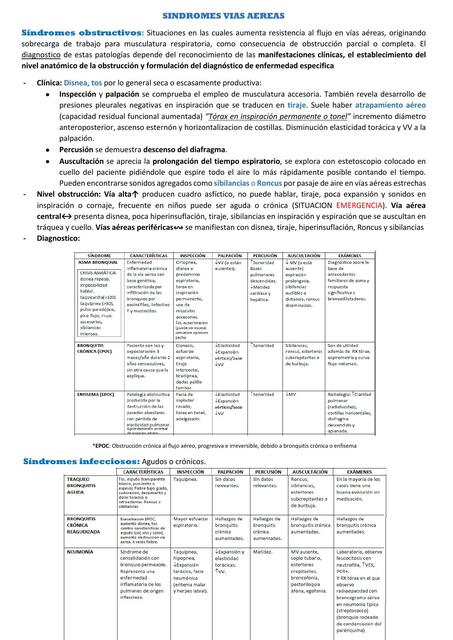 Síndromes Vías Aéreas Rafael Fernando Lajmanovich uDocz