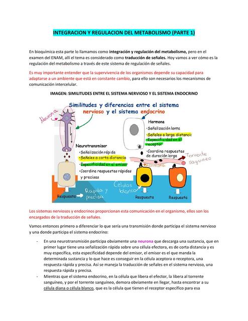 Integración y Regulación del Metabolismo zarai zamata uDocz