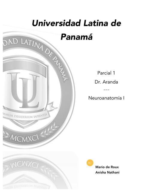 Parcial De Neuroanatomia Medilove Udocz