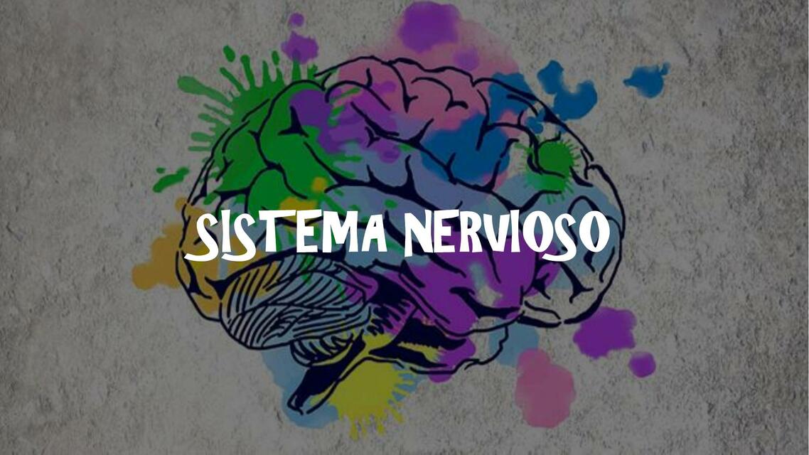 Sistema Nervioso MEDilove UDocz