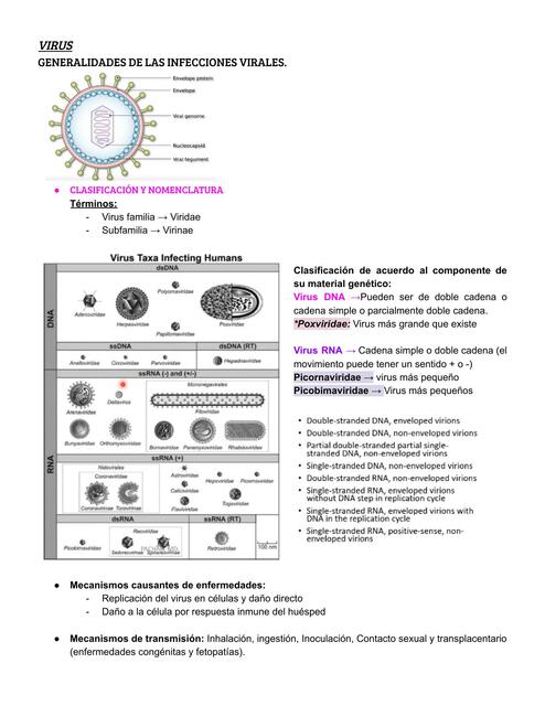 Virus Generalidades De Las Infecciones Virales MEDilove UDocz