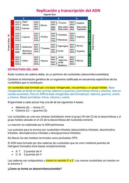 Biolog A Molecular Replicaci N Y Transcripci N Del Adn Mariana