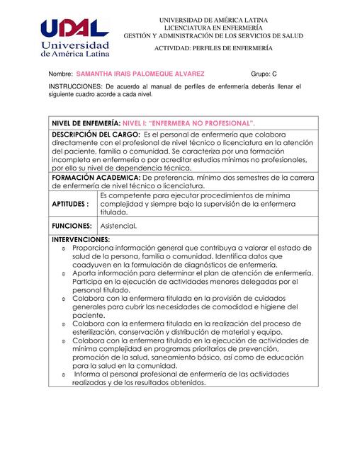 Perfiles de Enfermería samxnthastudy uDocz