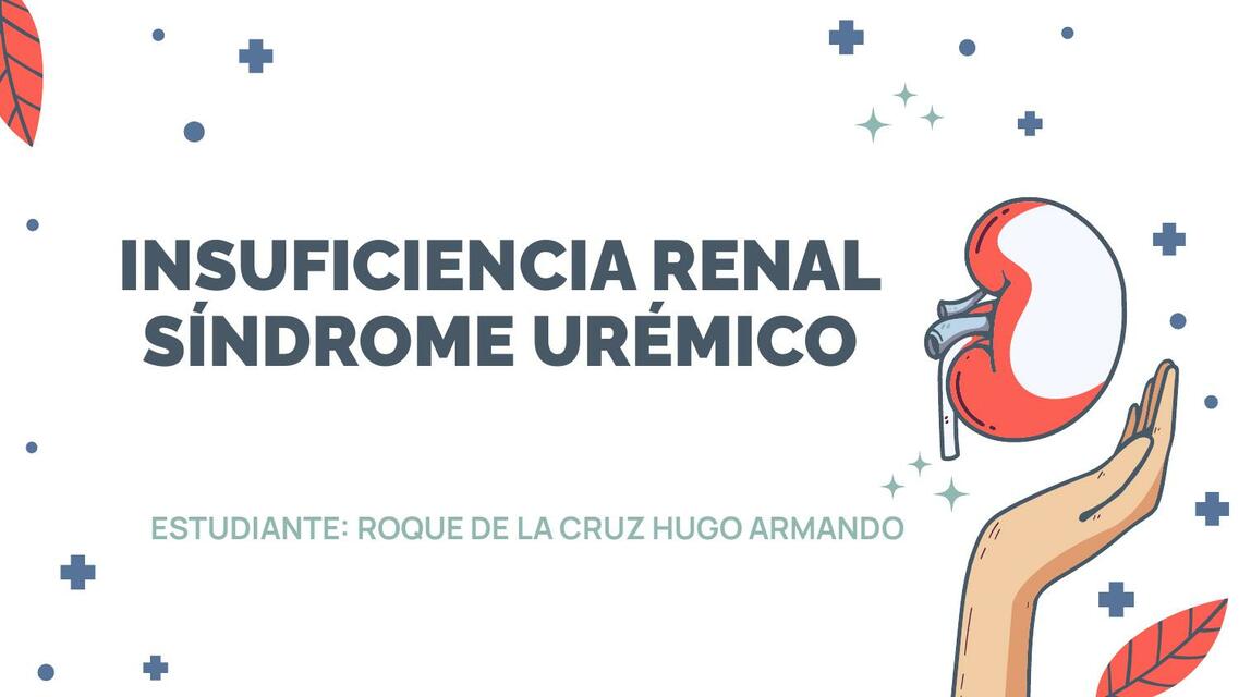 Insuficiencia Renal Síndrome Urémico hugo roque de la cruz uDocz