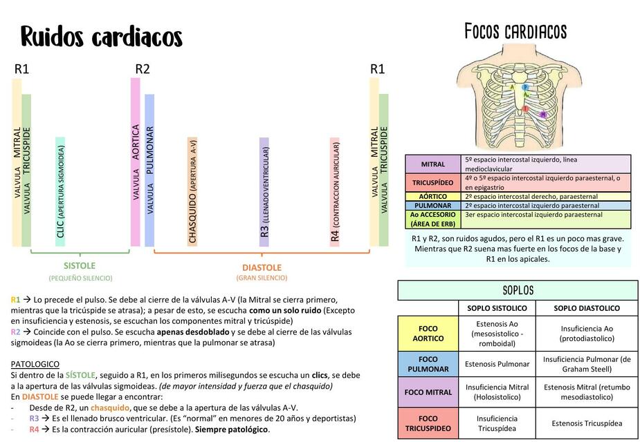 Ruidos Cardiacos Dotora En Apuros Udocz