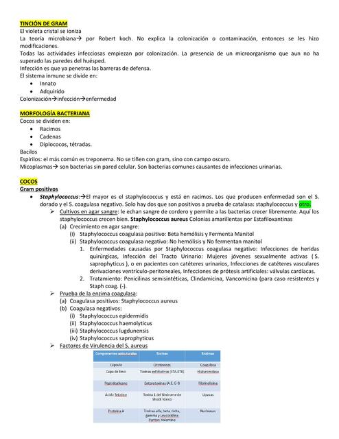 Microbiolog A Resumen Parcial Medilove Udocz