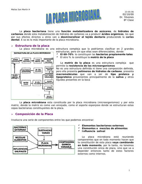 Placa Bacteriana YUDOC ORG UDocz