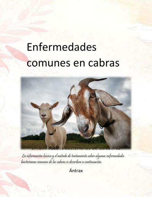 Enfermedades Bacterianas De Las Cabras Mariangel Parada UDocz