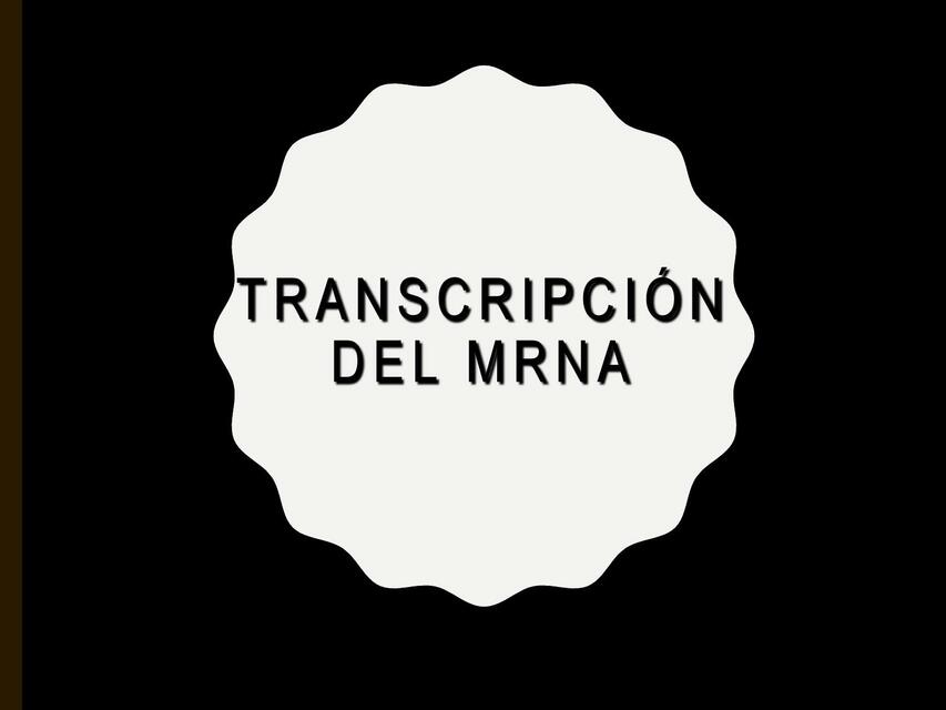 Transcripción del mRNA genética médica Apuntes Médicos Diego