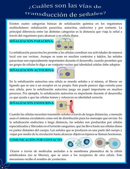 Vías de transducción de señal Yamileth Domínguez uDocz