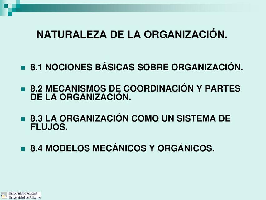 Naturaleza De La Organizaci N Giussepe Mori Fern Ndez Udocz