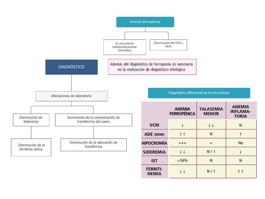 Diagnóstico de anemia ferropénica MARYURI LISBETH uDocz