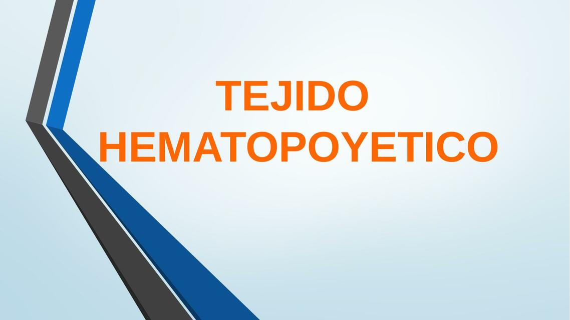 Histología del Tejido Hematopoyético MiddleMedic uDocz