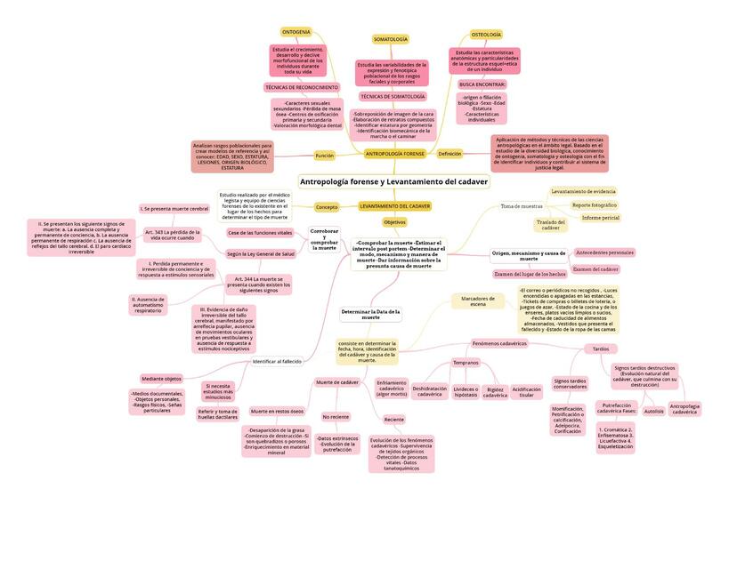 Antropología forense y Levantamiento del cadáver Forensic notes uDocz