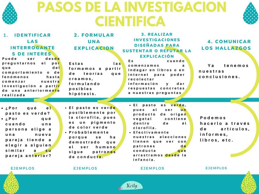 Pasos de la investigación científica Lylo uDocz