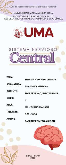 Tarea Sistema Nervioso Central Y Neurona Allison Ramirez Udocz