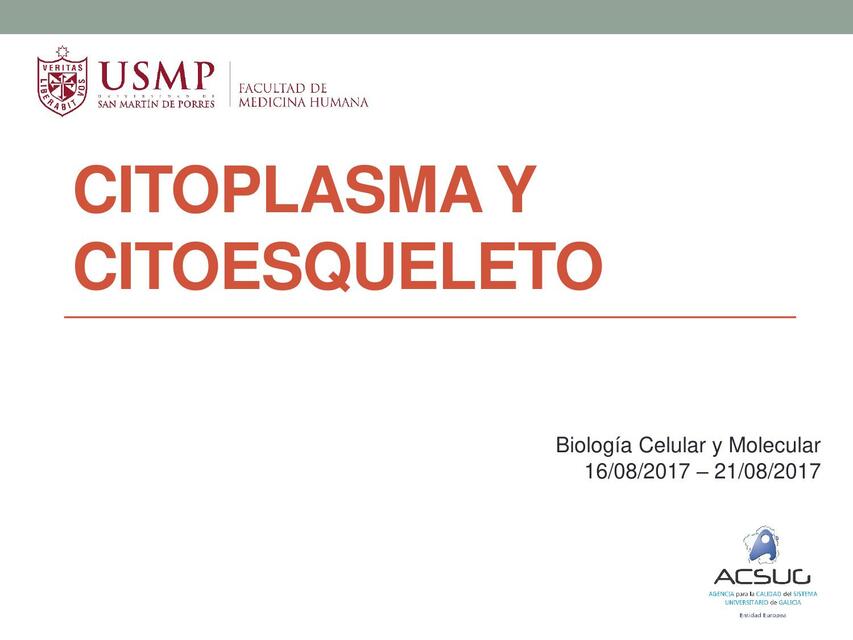 Citoplasma Y Citoesqueleto Tiroxina Med UDocz