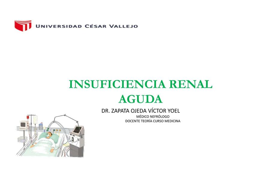 Insuficiencia Renal Aguda MARYURI LISBETH UDocz